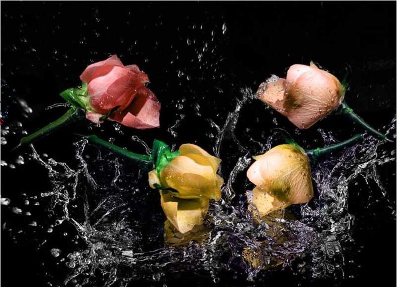 ������ ���� ������ �� ���� ������