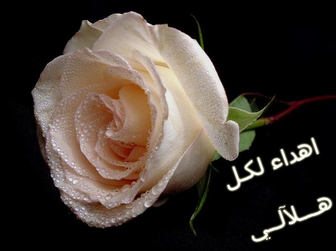 ������ ���� ������ �� ���� ������