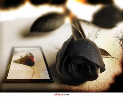 ���� �����