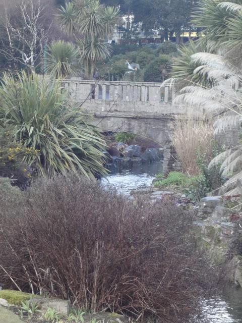 ������ �� �������� Bournemouth 2010