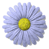 http://www12.0zz0.com/2010/06/10/12/785000012.gif