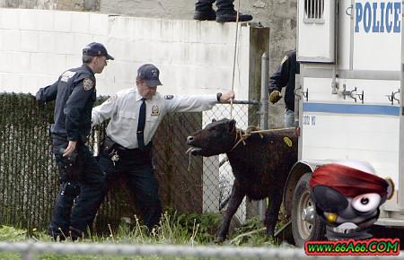 ����� �� ��� ������� ���� �� ���� ���� ������� ���� �� ����� 