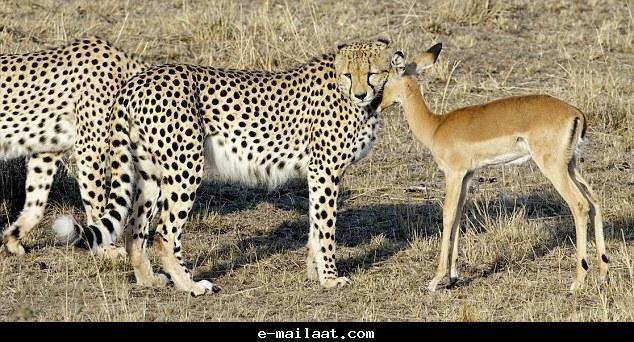 ����� �� ��� ������� ���� �� ���� ���� ������� ���� �� ����� 