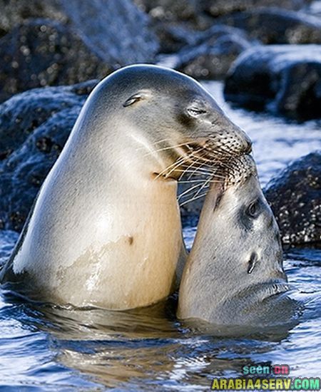 ����� �� ��� ������� ���� �� ���� ���� ������� ���� �� ����� 