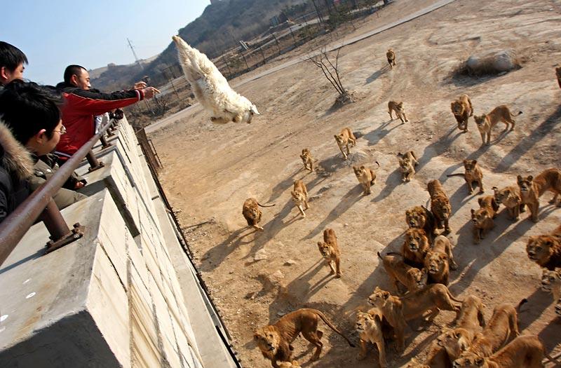 ����� �� ��� ������� ���� �� ���� ���� ������� ���� �� ����� 