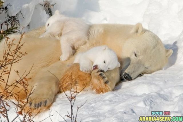 ����� �� ��� ������� ���� �� ���� ���� ������� ���� �� ����� 