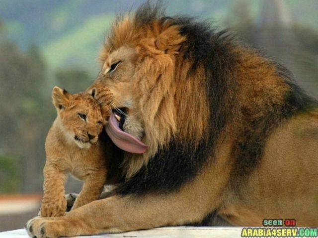 ����� �� ��� ������� ���� �� ���� ���� ������� ���� �� ����� 