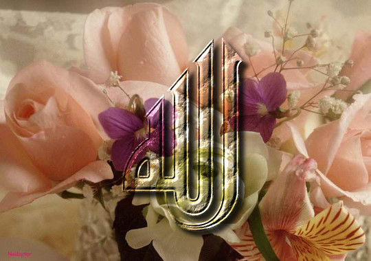 صفات الحبيب صلى الله عليه وسلم 513244156