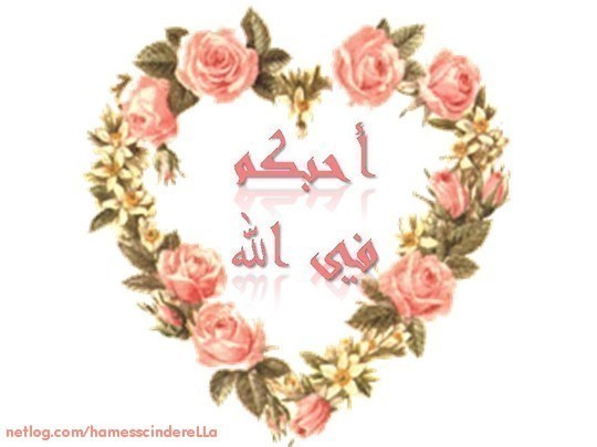 صفات الحبيب صلى الله عليه وسلم 934153072