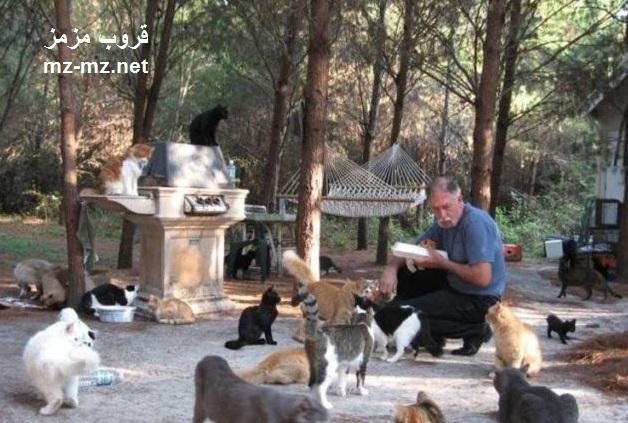 ����� ����� �� ������� �� ��� ����� ,�. 