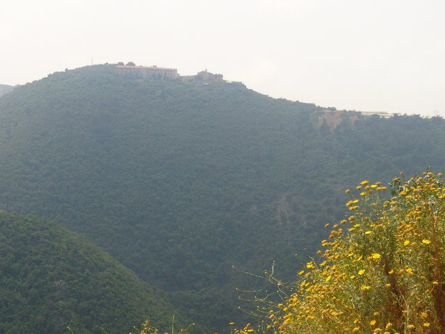 صورة