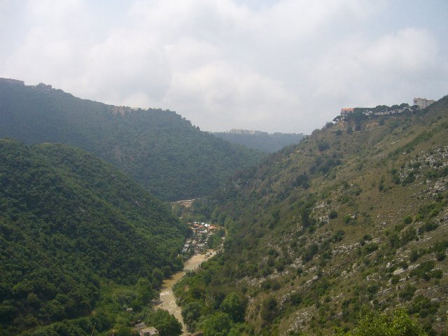 صورة