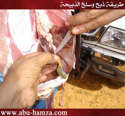 صورة
