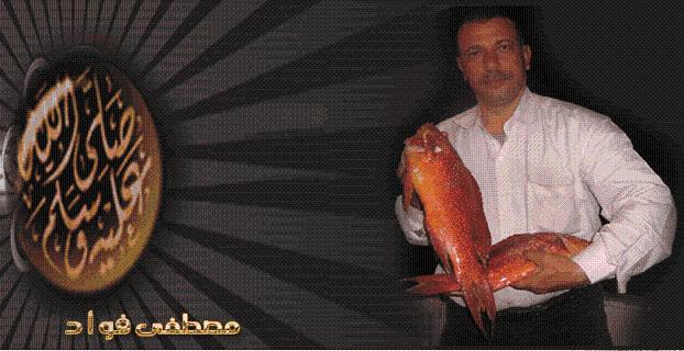 صورة