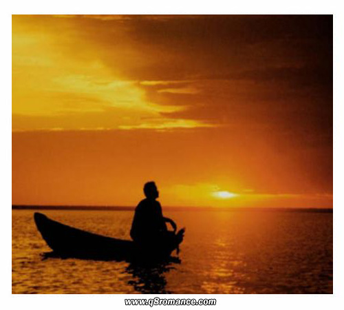 ���� ���� ������ �� ���� ������