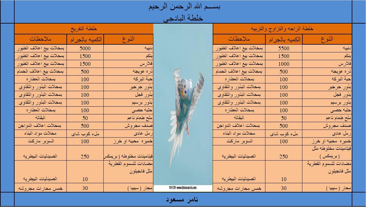 جدول اطعام طائر البادجى 901659665