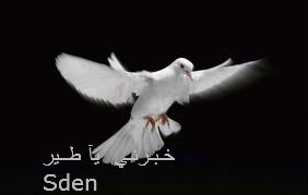 خــبــرنـي يـآآ طـــيـر 974500906.jpg
