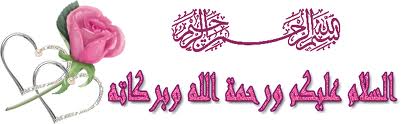 انيقات