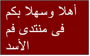 المتواجدون الآن ؟