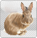 http://www12.0zz0.com/2011/08/10/23/575507685.gif