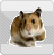 http://www12.0zz0.com/2011/08/11/01/115183117.gif