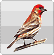 http://www12.0zz0.com/2011/08/11/01/432463081.gif