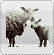 http://www12.0zz0.com/2011/08/11/01/549237670.gif