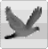 http://www12.0zz0.com/2011/08/11/05/690722137.gif