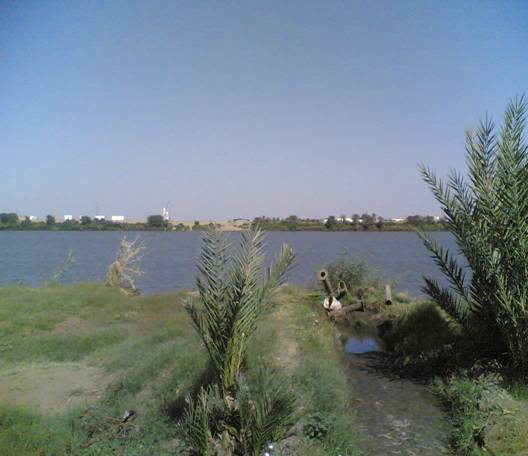 صورة