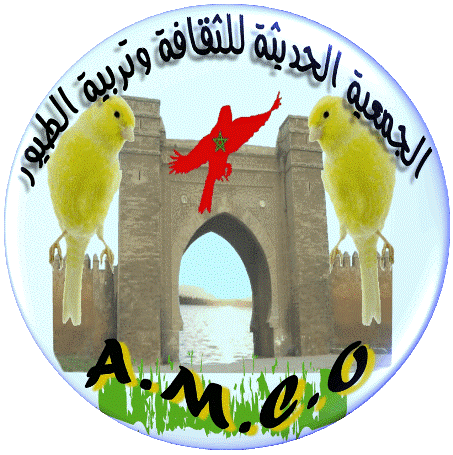 صورة