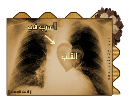 نقره لعرض الصورة في صفحة مستقلة