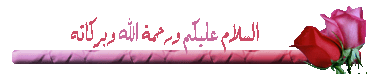 513684563.gif