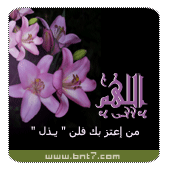 MMS ~