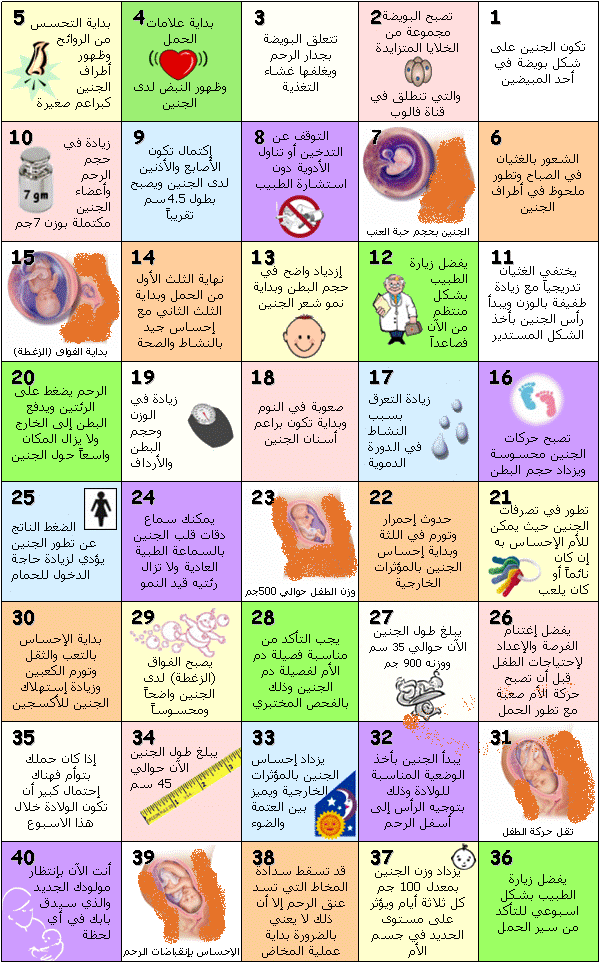 الاسبوع 34 من الحمل اي شهر