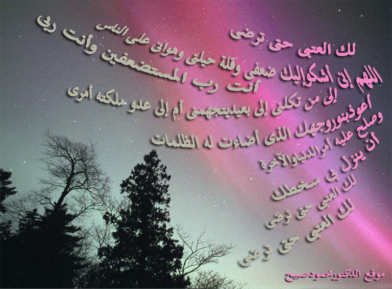 صورة