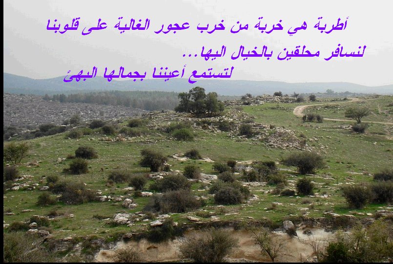 احدى خرب بلدتنا عجور - الخليل المحتلة عام 1948 ارض الاباء والاجداد والتي نتوق للعودة اليها 588215475