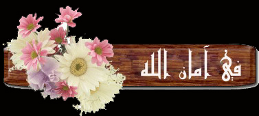 كماليات المواضيع 682359629