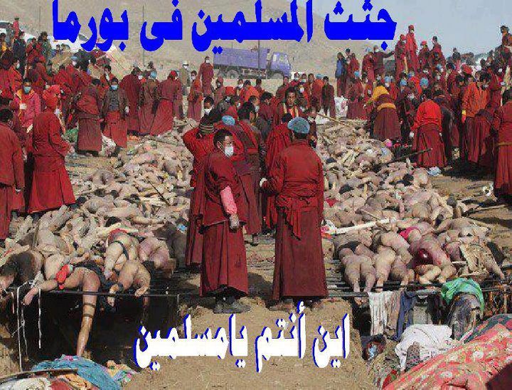 صورة
