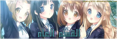 القسم العام