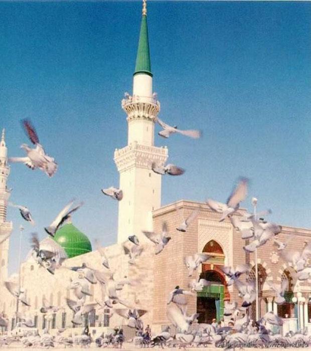 صورة