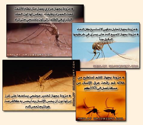 اضغط هنا لتكبير الصوره