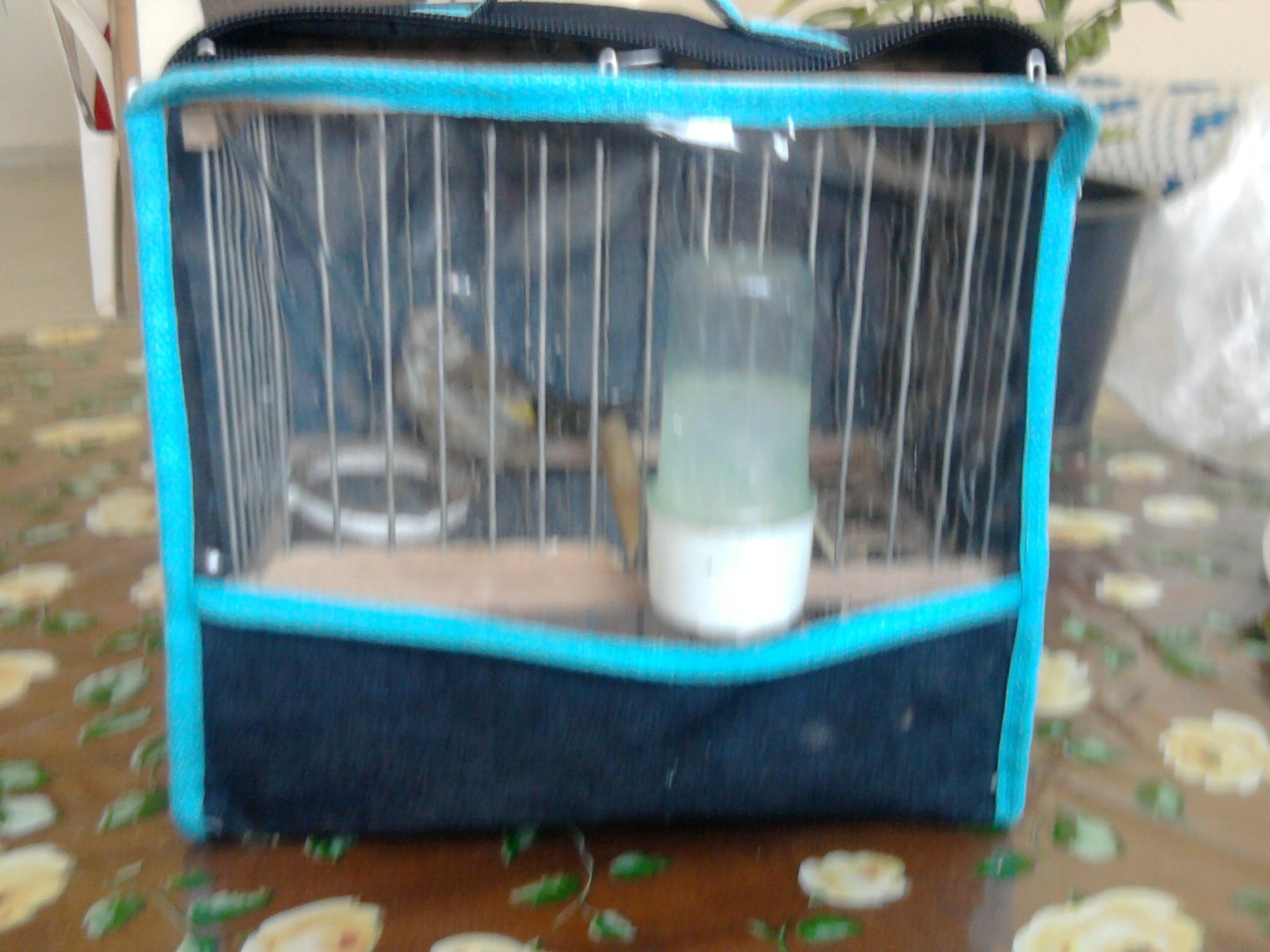 صورة