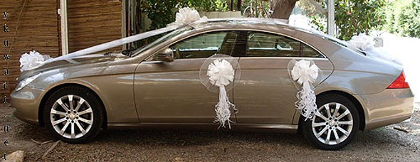 سيارات زفاف 2014