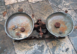 ���� ���� ������ �� ���� ������