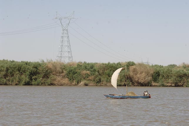 صورة