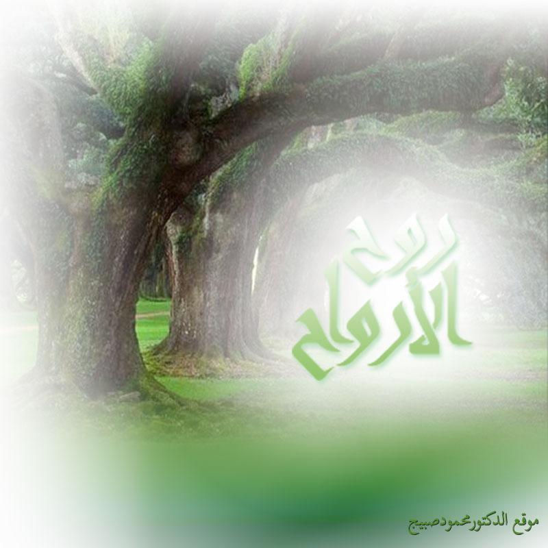 صورة