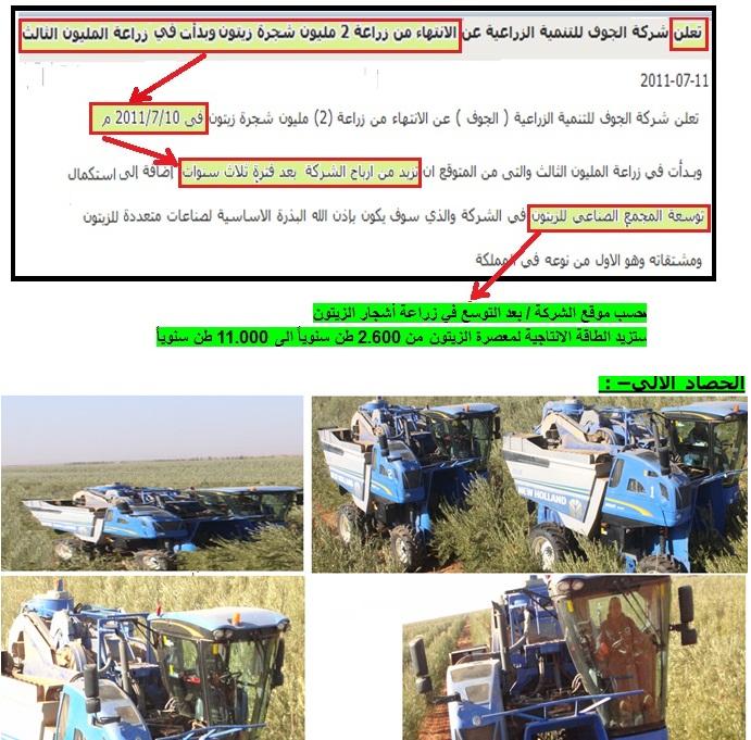 دخول الأجنبي >> صغير مقبل طفرة غيرمسبوقة الانتاج