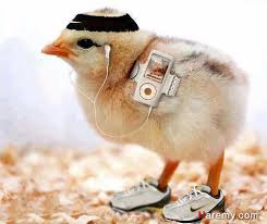 صورة