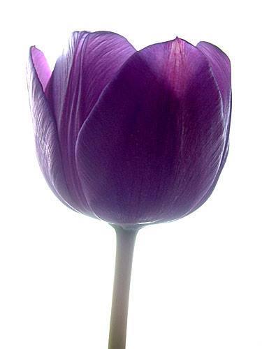 ���� ���� ������ �� ���� ������