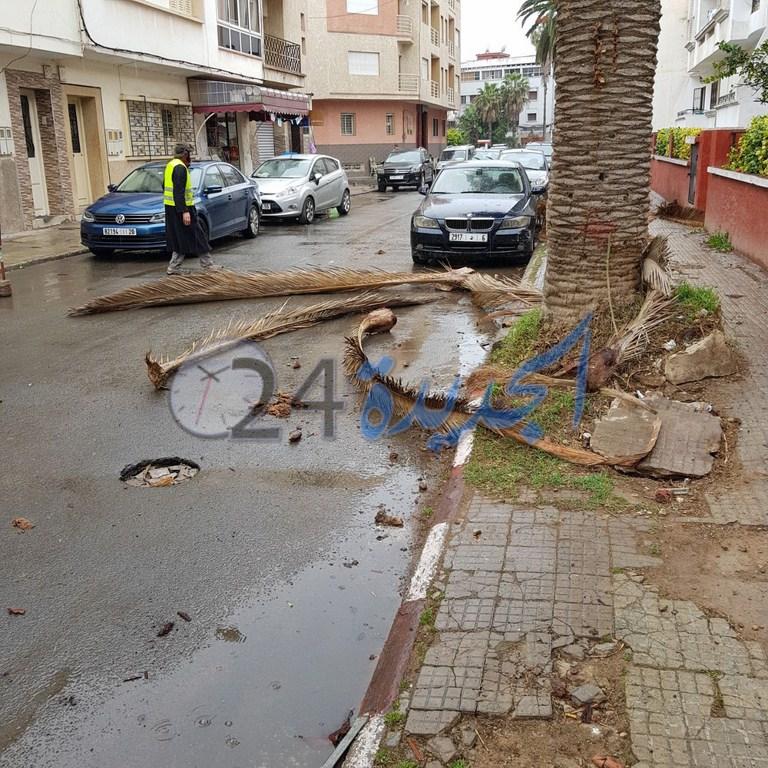 الرياح العاصفية تسقط سعف النخيل على السيارات في زنقة ''كاربوزان'' بالجديدة - الجديدة 24